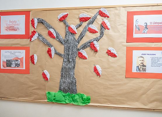 Uroczysty apel z okazji Święta Niepodległości grafika