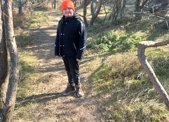 W poszukiwaniu Wiosny grafika