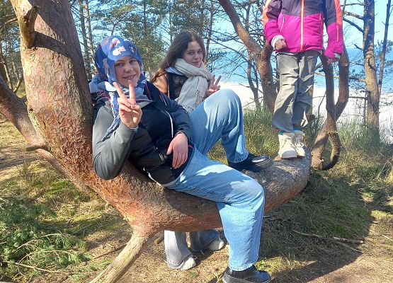 W poszukiwaniu Wiosny grafika