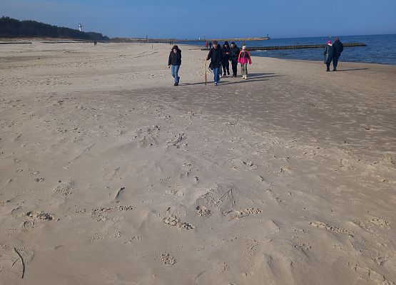 W poszukiwaniu Wiosny grafika