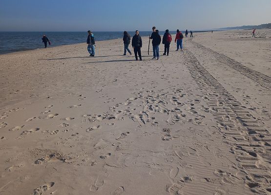 W poszukiwaniu Wiosny grafika