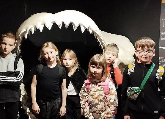 Wycieczka kaszubska klas 1-2 do Oceanarium w Gdyni grafika