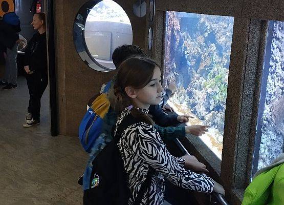 Wycieczka kaszubska klas 1-2 do Oceanarium w Gdyni grafika