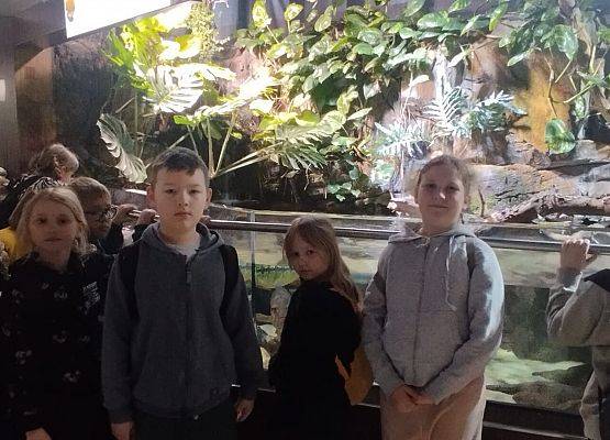 Wycieczka kaszubska klas 1-2 do Oceanarium w Gdyni grafika