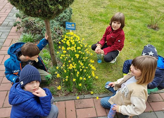 Klasa I b na tropie wiosny!  grafika