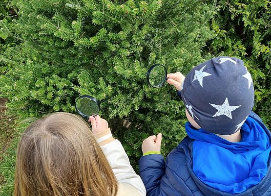 Klasa I b na tropie wiosny!  grafika
