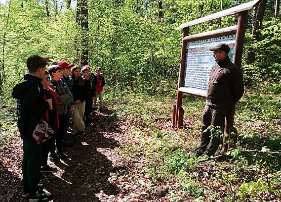 ŚCIEŻKA EDUKACYJNO – PRZYRODNICZA DO „DĘBU ŚWIĘTOPEŁK” grafika