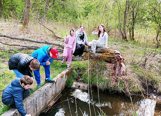 ŚCIEŻKA EDUKACYJNO – PRZYRODNICZA DO „DĘBU ŚWIĘTOPEŁK” grafika