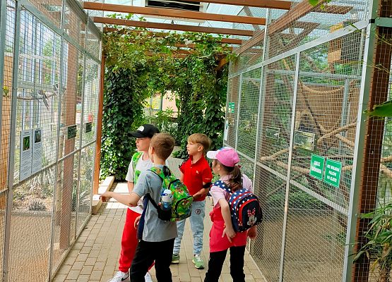 Wycieczka klas pierwszych do Parku Rozrywki Czarogrody w Celbowie grafika