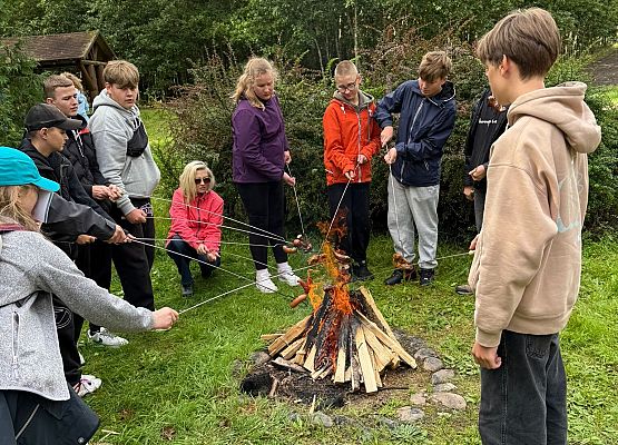 SZKÓŁKA LEŚNA grafika