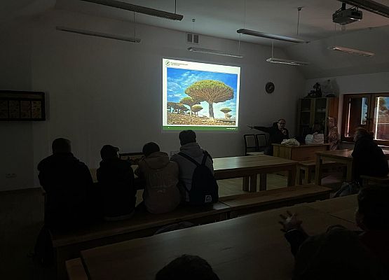 SZKÓŁKA LEŚNA grafika