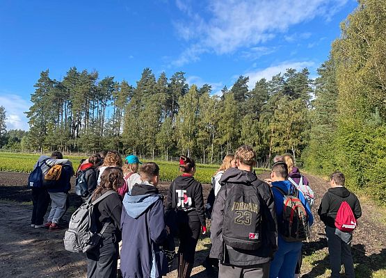 SZKÓŁKA LEŚNA grafika