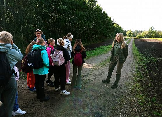 SZKÓŁKA LEŚNA grafika