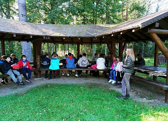 SZKÓŁKA LEŚNA grafika