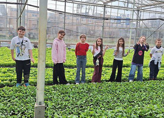 Wizyta klasy III B w szklarni grafika