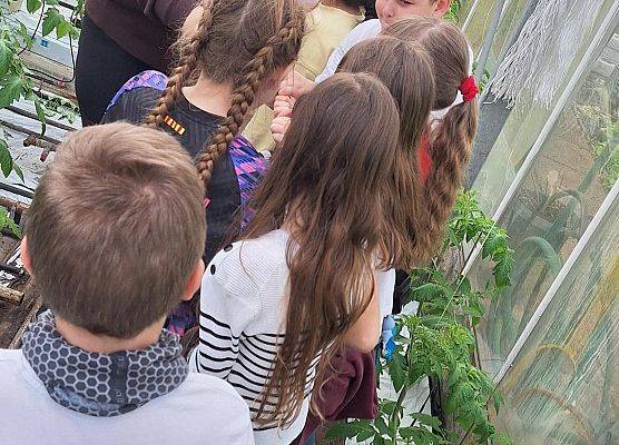 Wizyta klasy III B w szklarni grafika