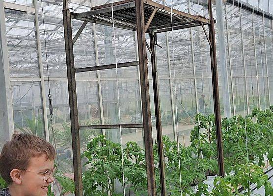 Wizyta klasy III B w szklarni grafika