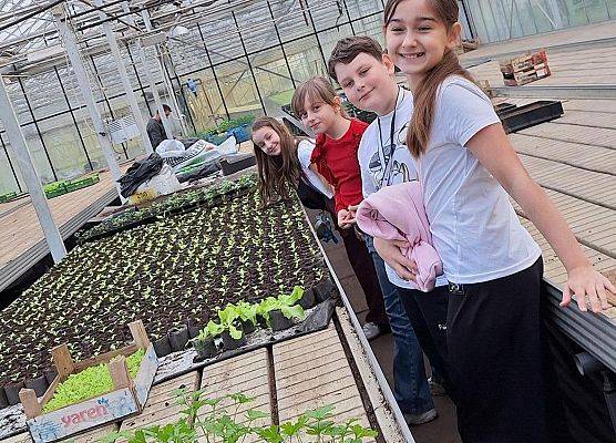 Wizyta klasy III B w szklarni grafika