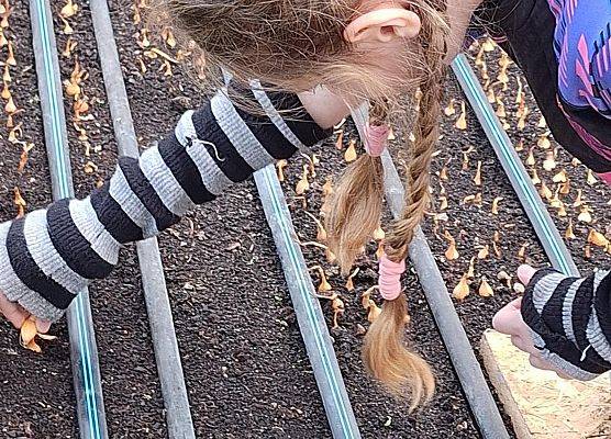 Wizyta klasy III B w szklarni grafika