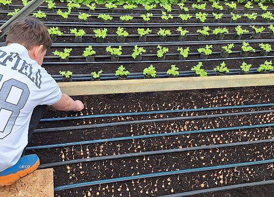 Wizyta klasy III B w szklarni grafika