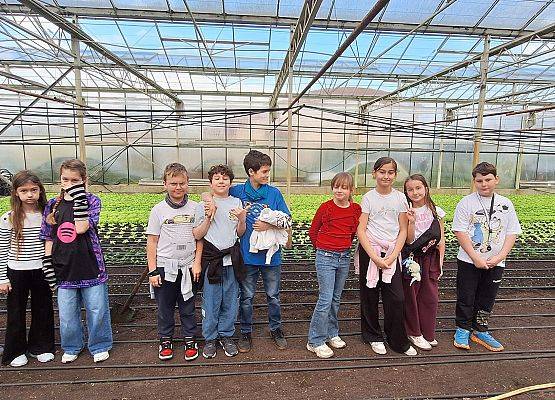 Wizyta klasy III B w szklarni grafika
