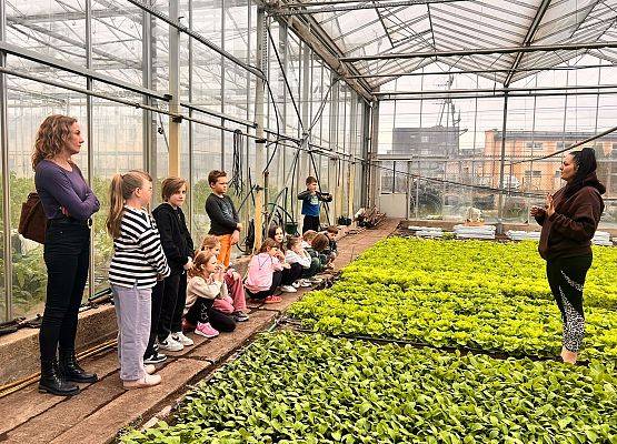 Wizyta klasy drugiej w gospodarstwie ogrodniczym grafika