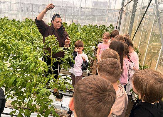 Wizyta klasy drugiej w gospodarstwie ogrodniczym grafika