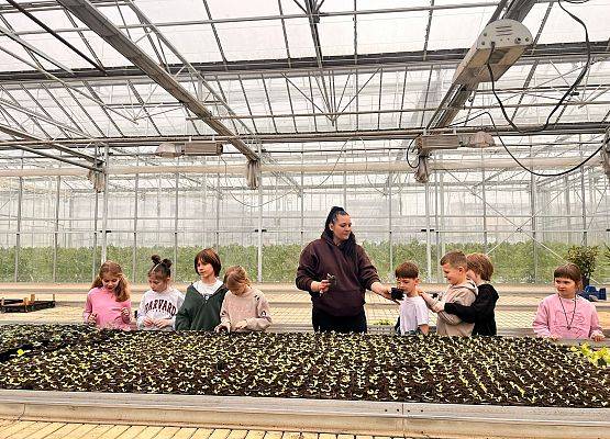 Wizyta klasy drugiej w gospodarstwie ogrodniczym grafika