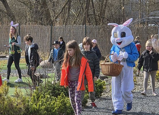 Wiosenne warsztaty w Costerina Park! grafika