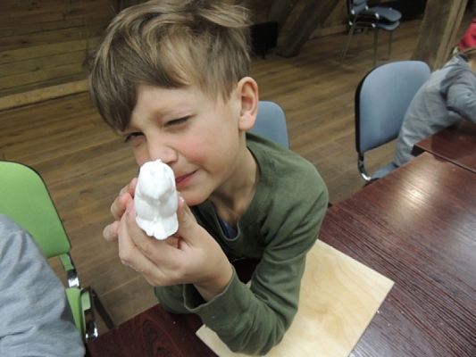  Grafika #14: WYCIECZKA KLAS III DO SWOŁOWA grafika