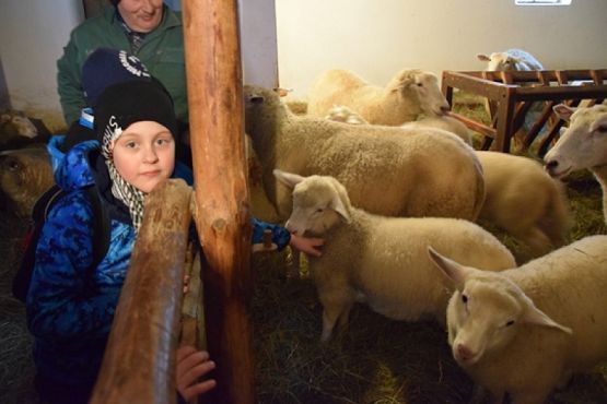  Grafika #20: KRAINA W KRATĘ czyli wycieczka klas drugich do Swołowa grafika