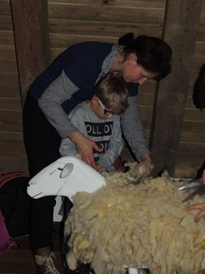  Grafika #9: LEKCJA MUZEALNA W SWOŁOWIE Opowieści utkane … o wełnie grafika