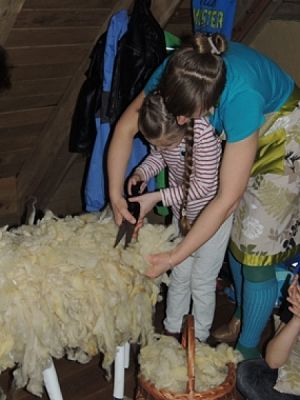  Grafika #10: LEKCJA MUZEALNA W SWOŁOWIE Opowieści utkane … o wełnie grafika