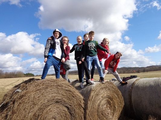  Grafika #8: RAJD PIESZY Z OKAZJI PIERWSZEGO DNIA WIOSNY grafika