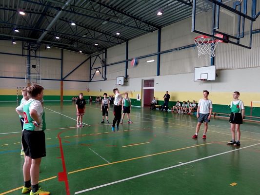  Grafika #1: SPARING KOSZYKARSKI grafika