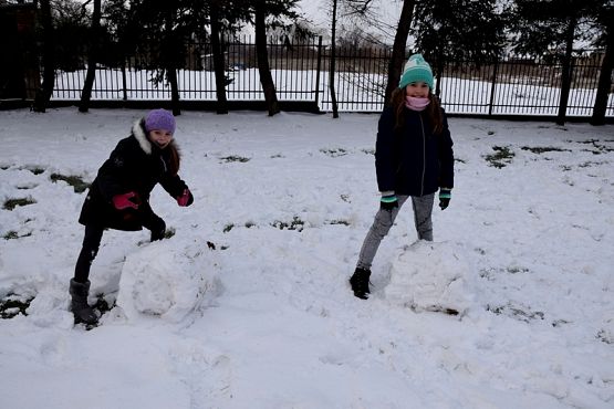  Grafika #3: ULEPIMY DZIŚ BAŁWANA? grafika