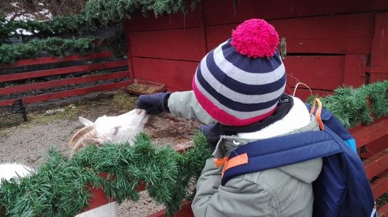  Grafika #1: PIERWSZAKI U ŚWIĘTEGO MIKOŁAJA! grafika