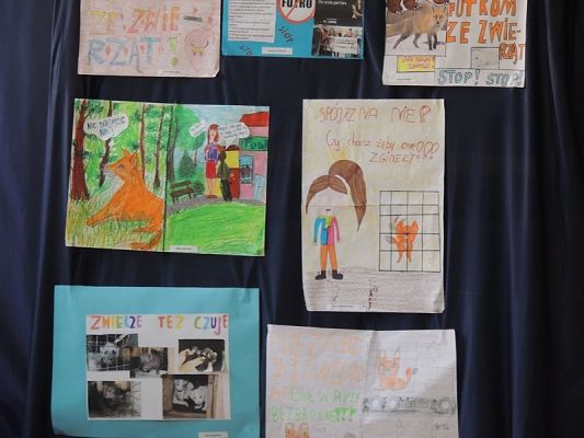  Grafika #6: DZIEŃ BEZ FUTRA grafika