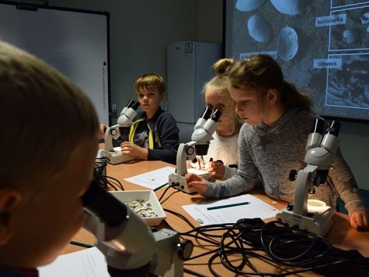  Grafika #6: WYCIECZKA KLAS II DO AKWARIUM GDYŃSKIEGO grafika