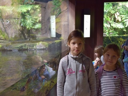  Grafika #8: WYCIECZKA KLAS II DO AKWARIUM GDYŃSKIEGO grafika