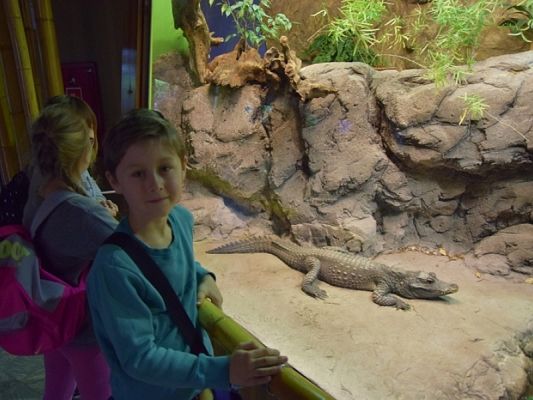  Grafika #17: WYCIECZKA KLAS II DO AKWARIUM GDYŃSKIEGO grafika