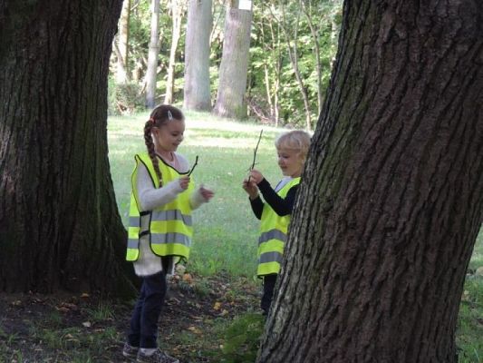  Grafika #3: PIERWSZAKI W PARKU CHROBREGO grafika