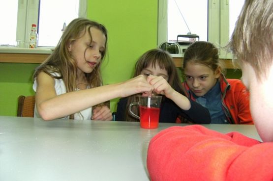  Grafika #9: KÓŁKO PRZYRODNICZE grafika