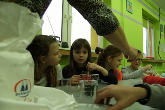  Grafika #11: KÓŁKO PRZYRODNICZE grafika