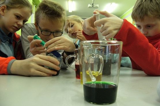  Grafika #16: KÓŁKO PRZYRODNICZE grafika