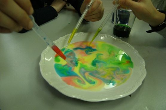  Grafika #19: KÓŁKO PRZYRODNICZE grafika