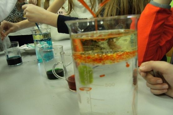  Grafika #20: KÓŁKO PRZYRODNICZE grafika