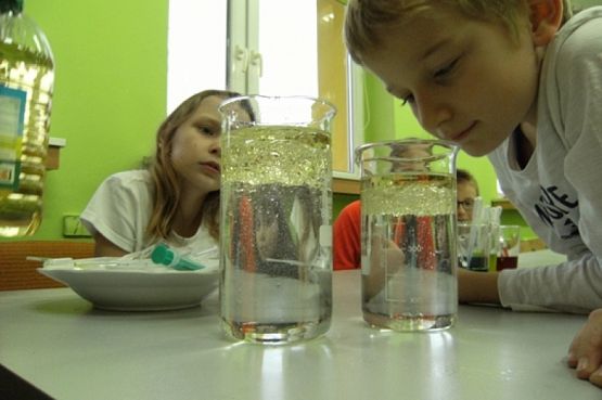  Grafika #24: KÓŁKO PRZYRODNICZE grafika