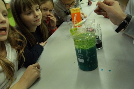  Grafika #26: KÓŁKO PRZYRODNICZE grafika