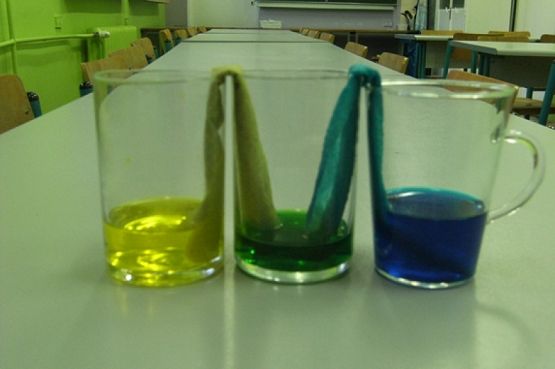  Grafika #28: KÓŁKO PRZYRODNICZE grafika